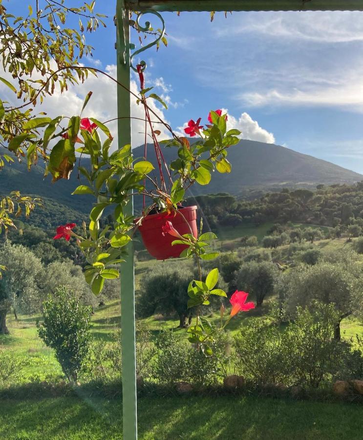 Agriturismo Is Conchisceddas Villa Gonnosfanàdiga Exterior foto